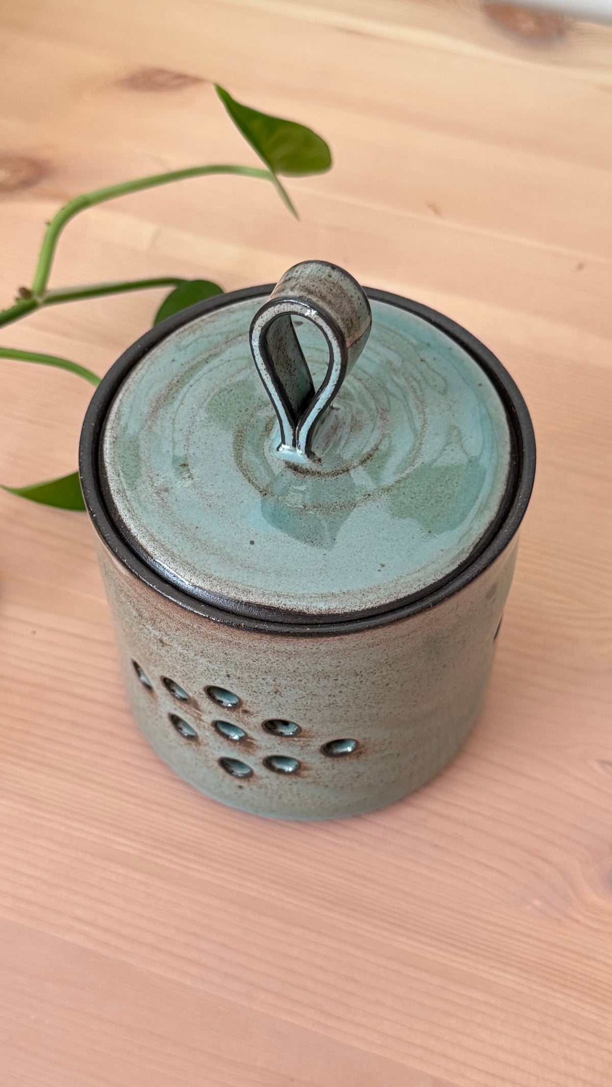 Garlic Keeper (Toasty Blue color)