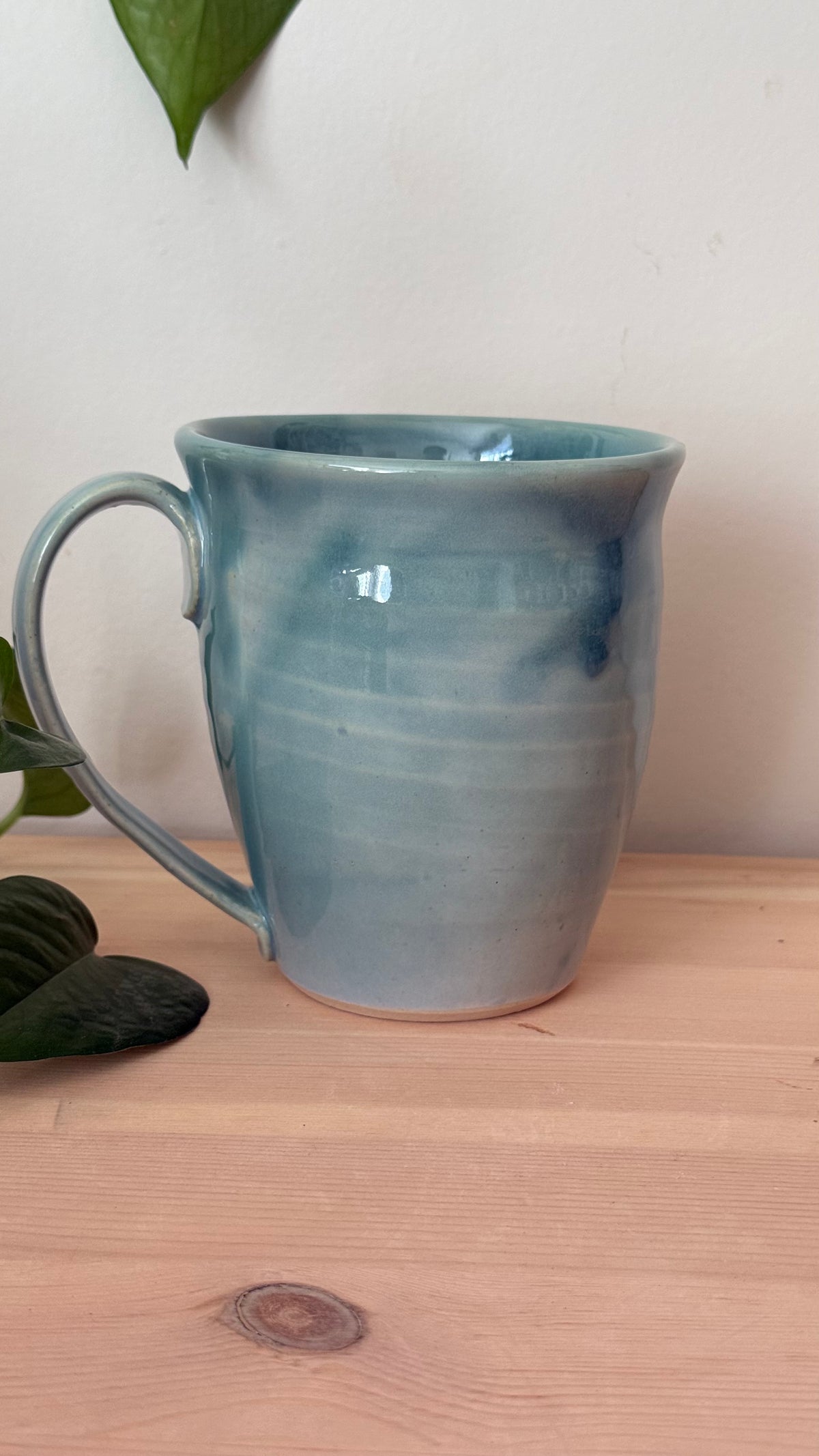 Seagull Mug