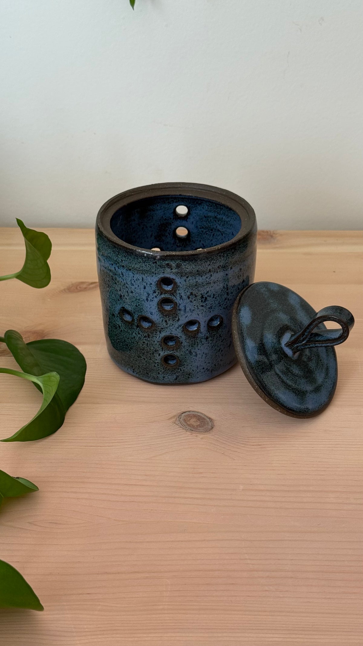 Garlic Keeper (dark blue)