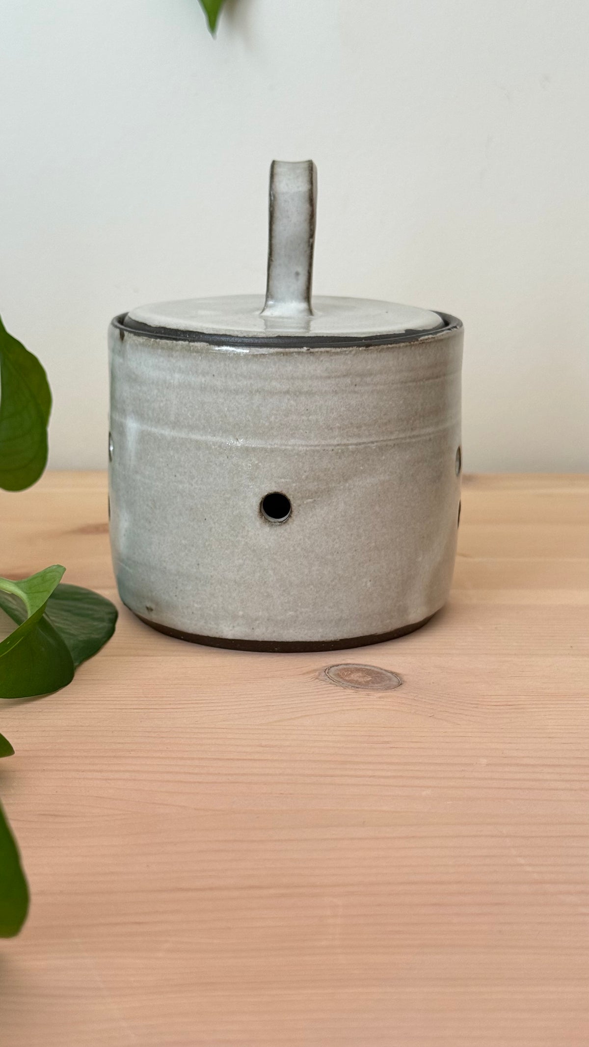 Garlic Keeper (White colour)