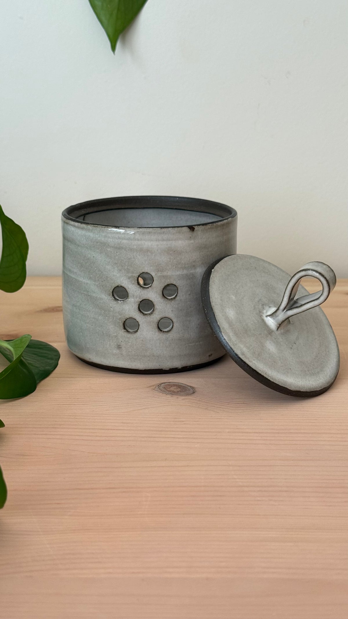 Garlic Keeper (White colour)