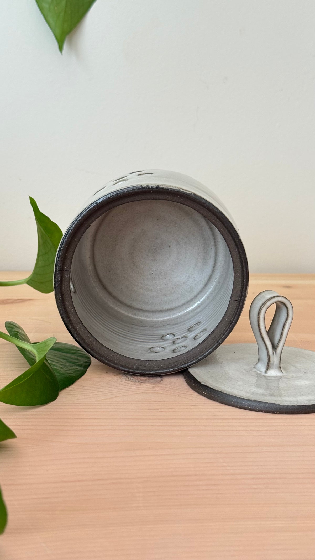 Garlic Keeper (White colour)