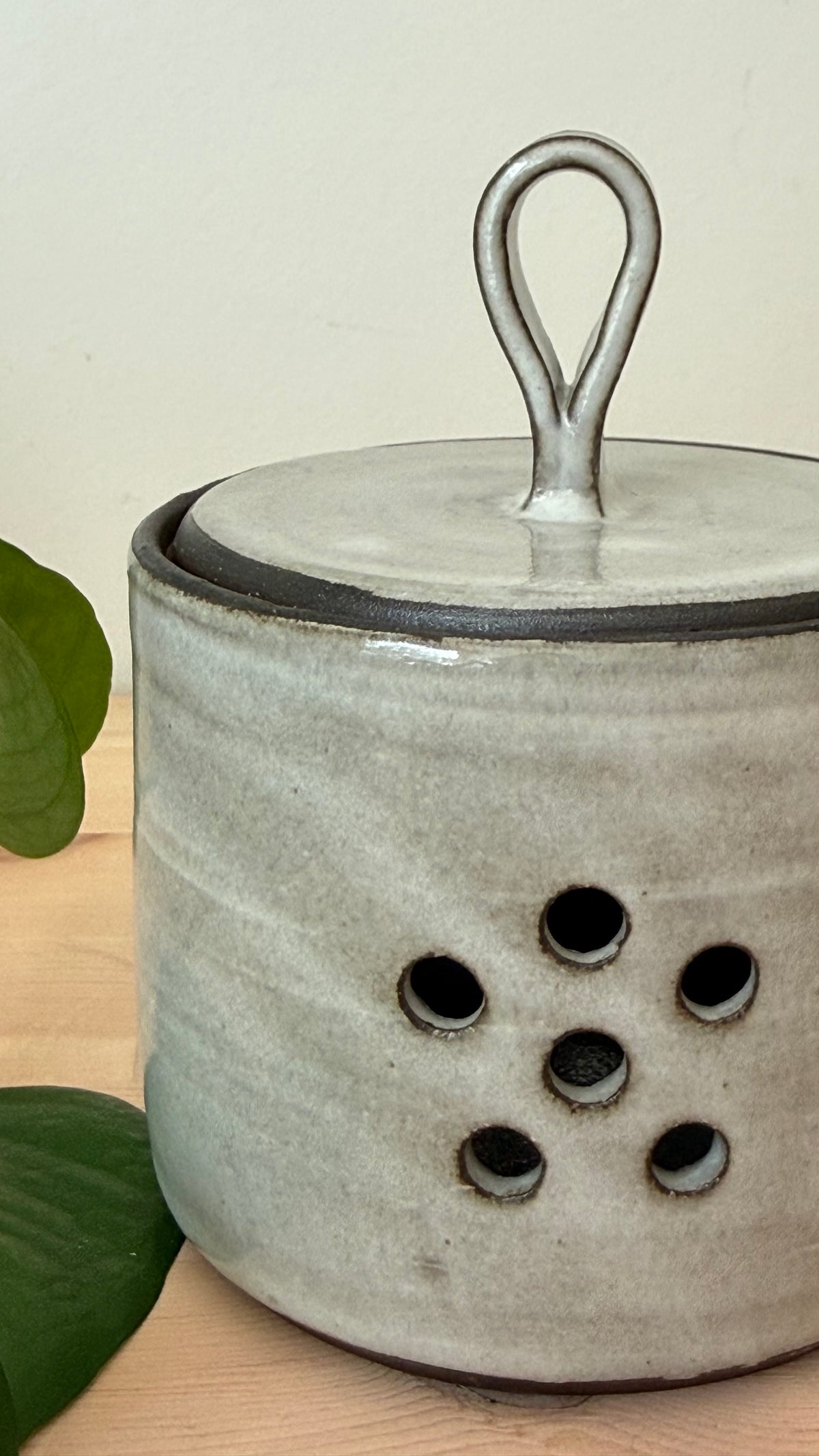 Garlic Keeper (White colour)