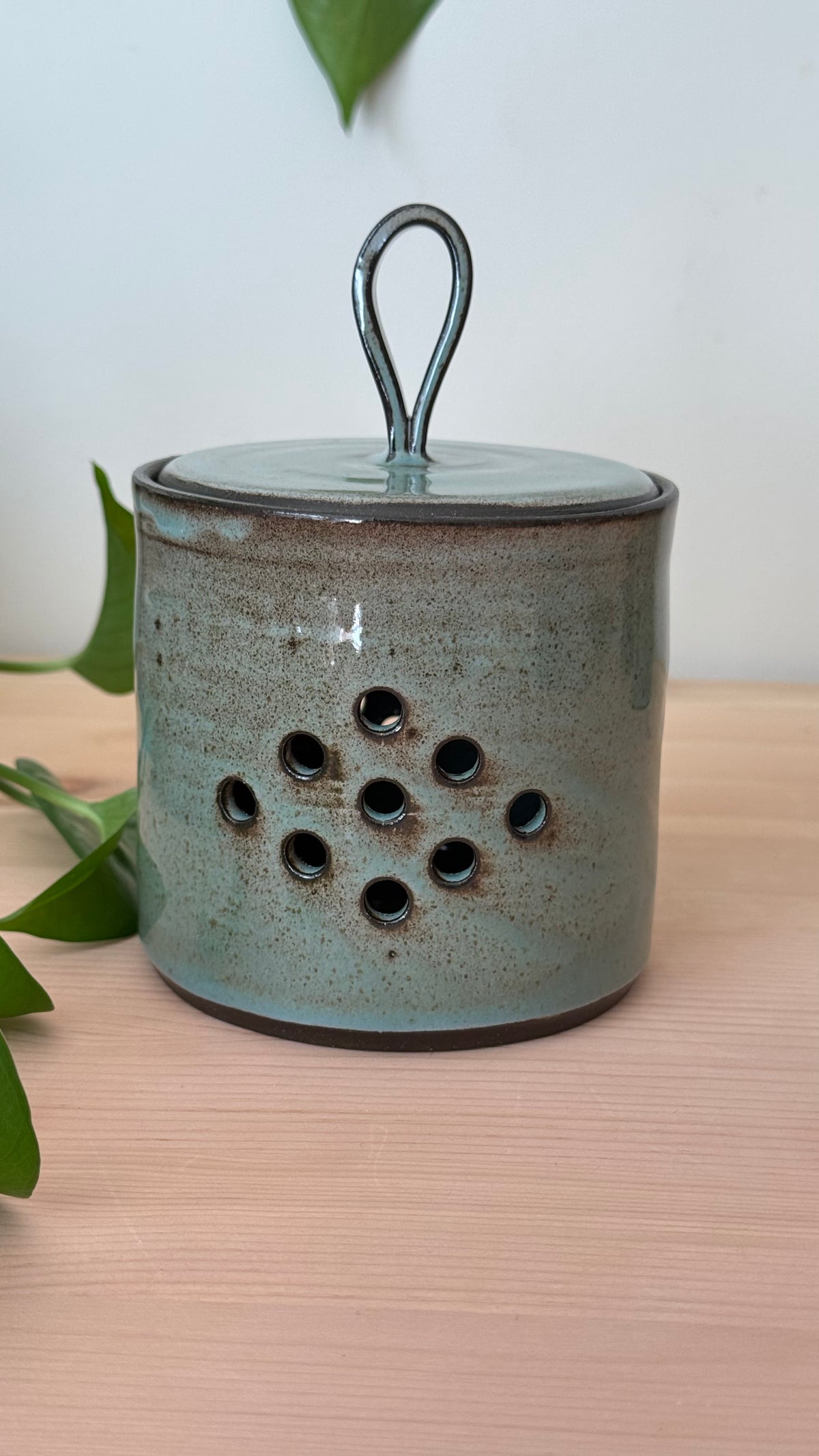 Garlic Keeper (Toasty Blue color)