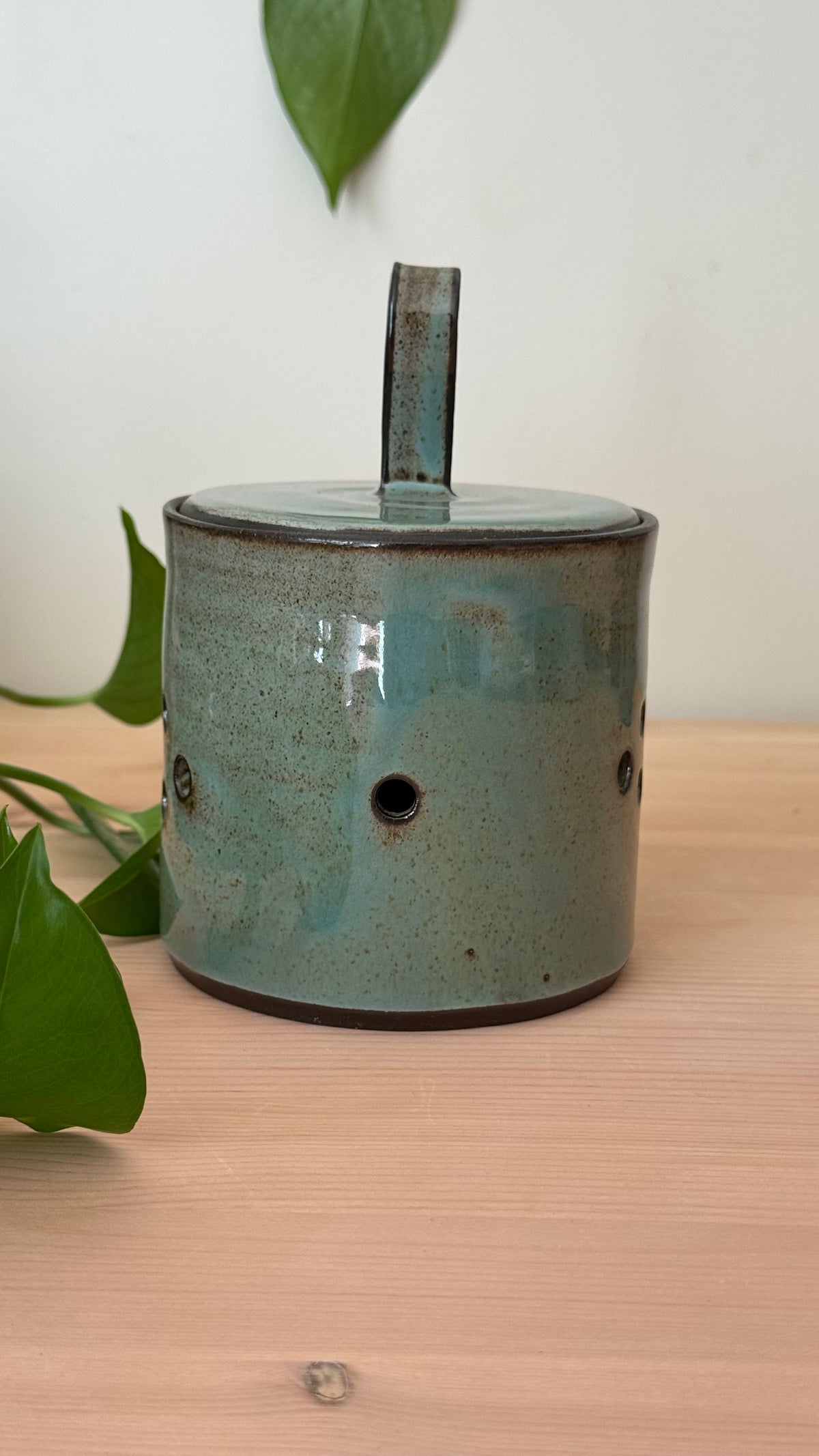Garlic Keeper (Toasty Blue color)