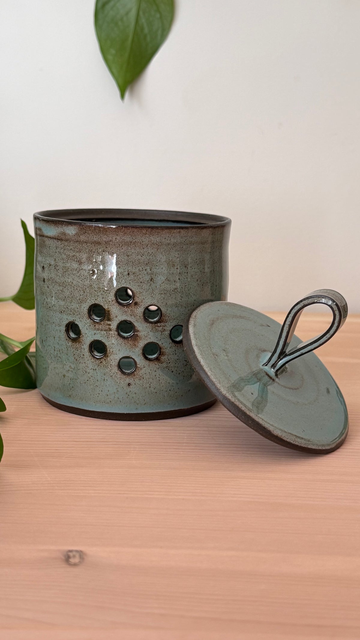 Garlic Keeper (Toasty Blue color)