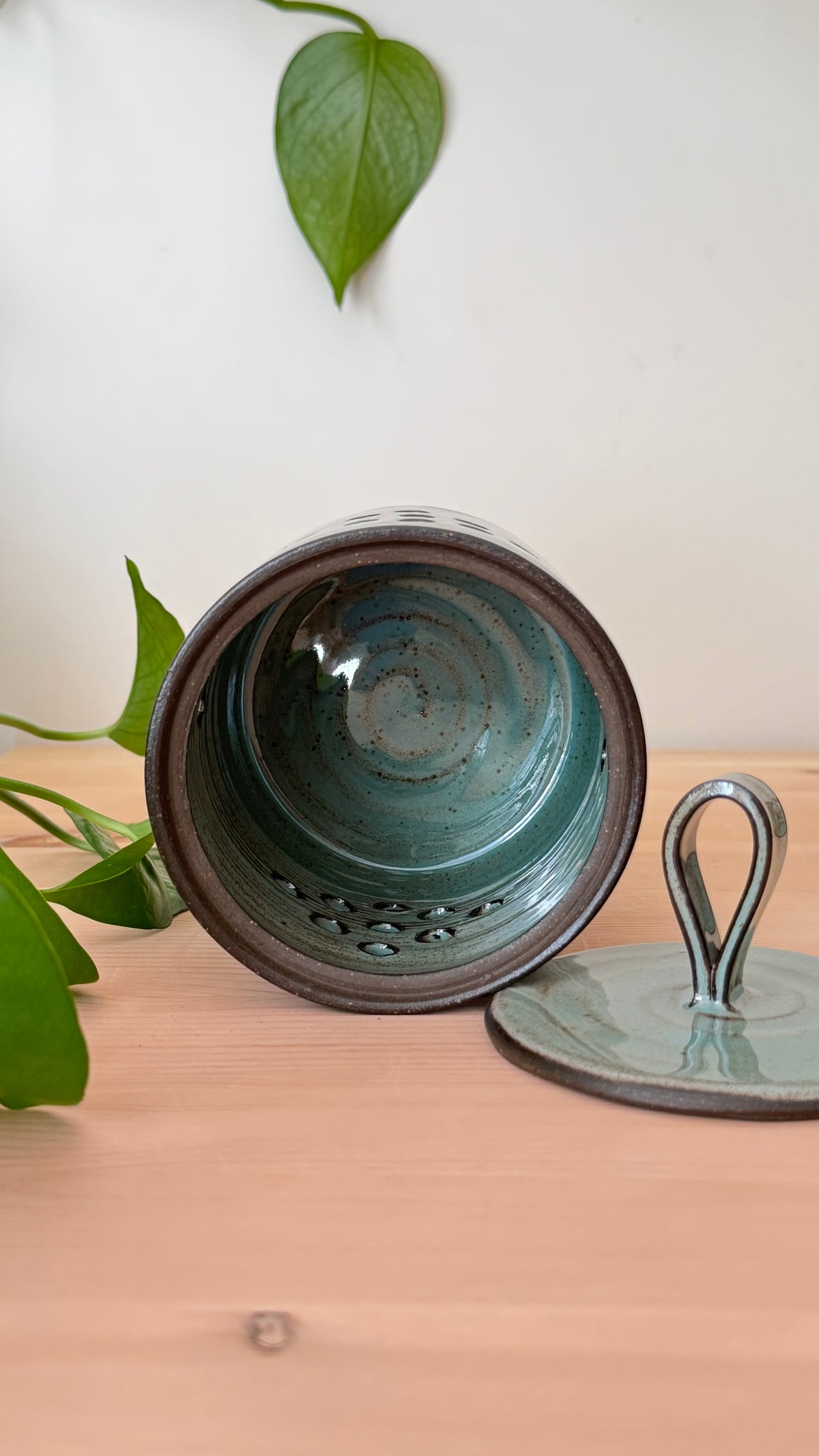Garlic Keeper (Toasty Blue color)