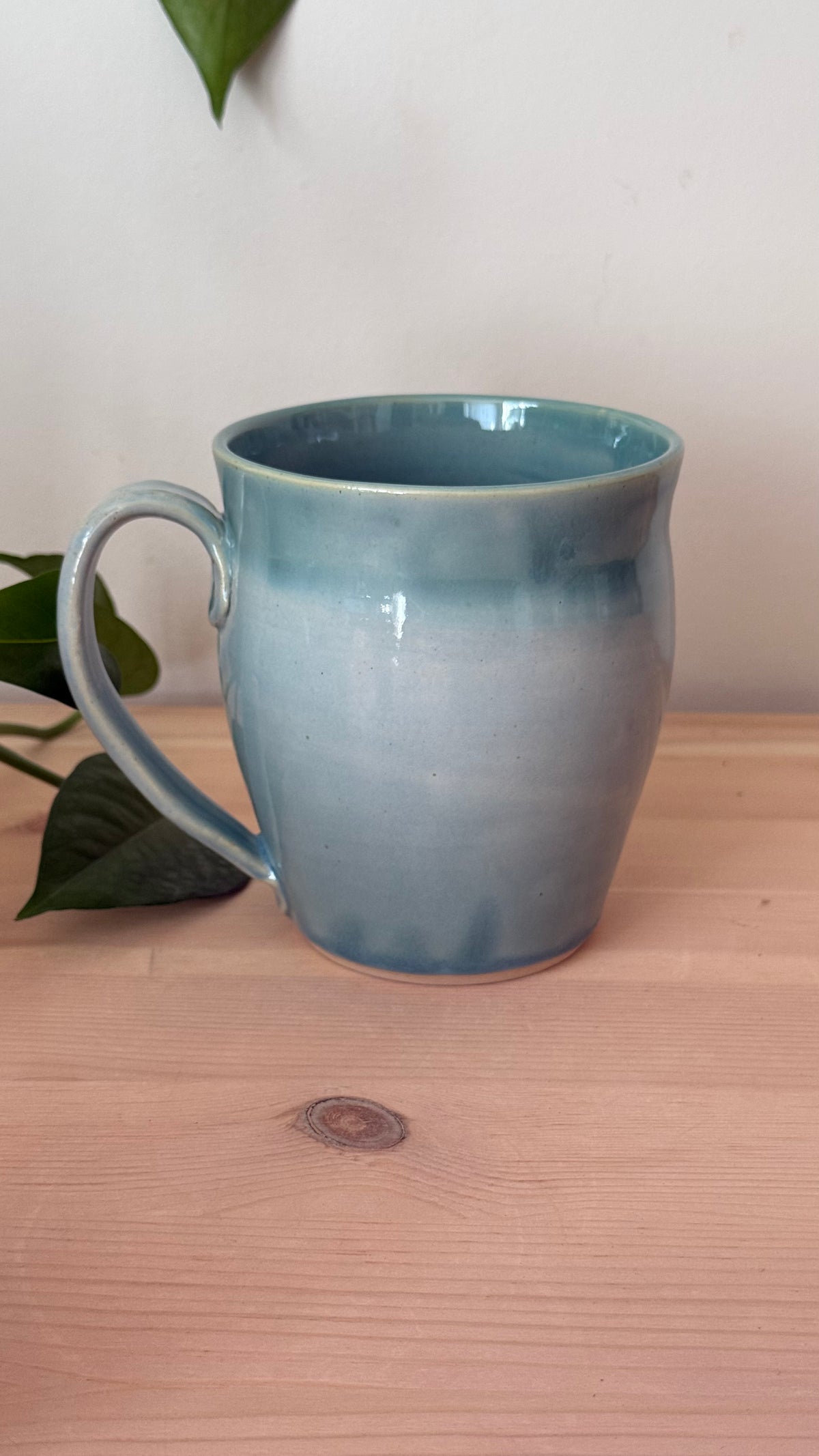 Cone Flower Mug