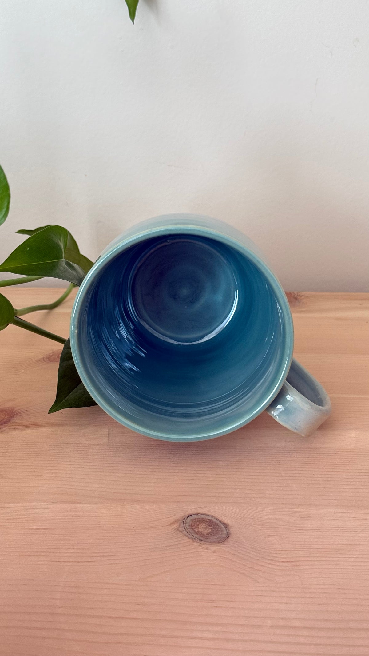 Cone Flower Mug