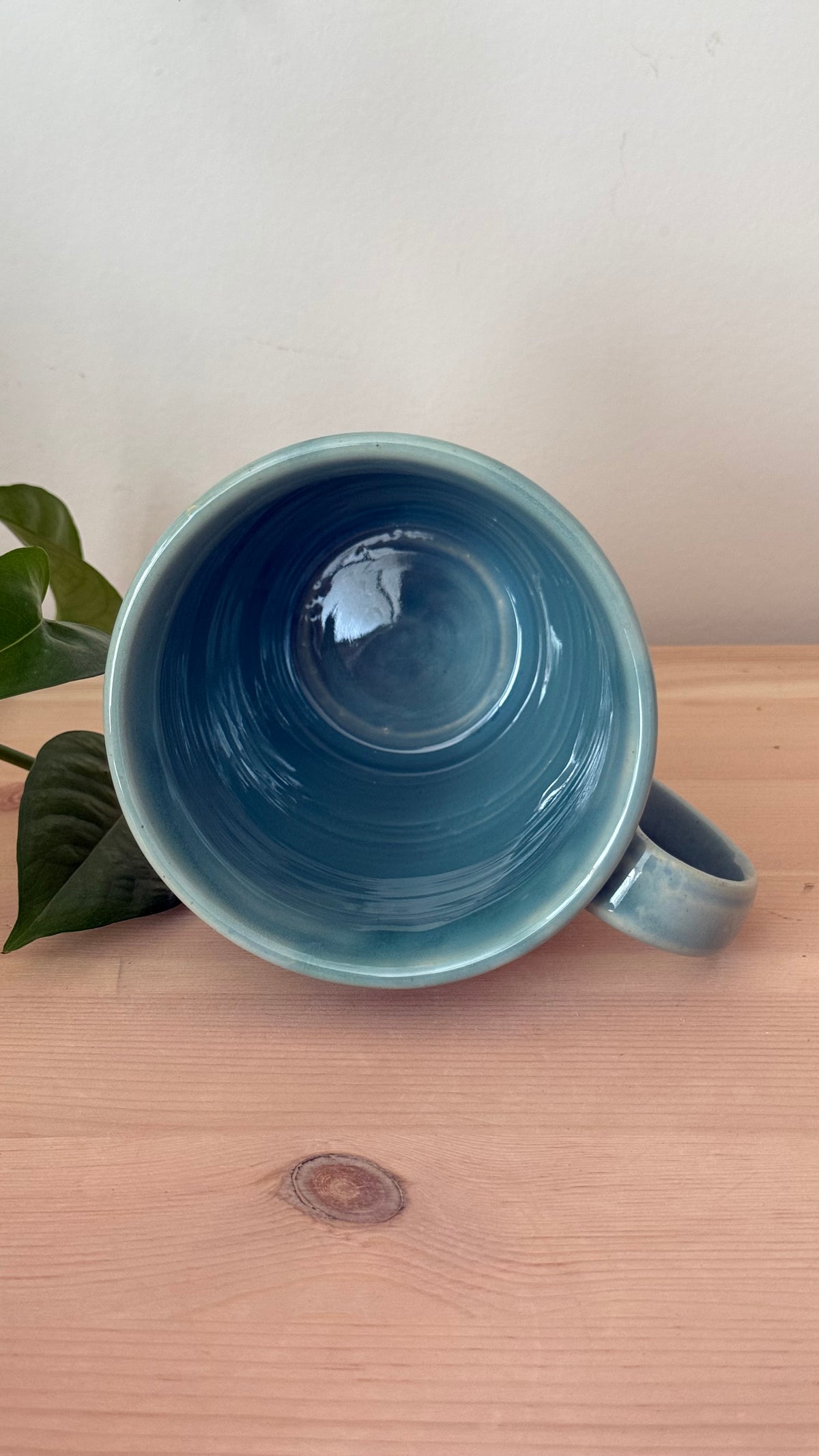 Seagull Mug