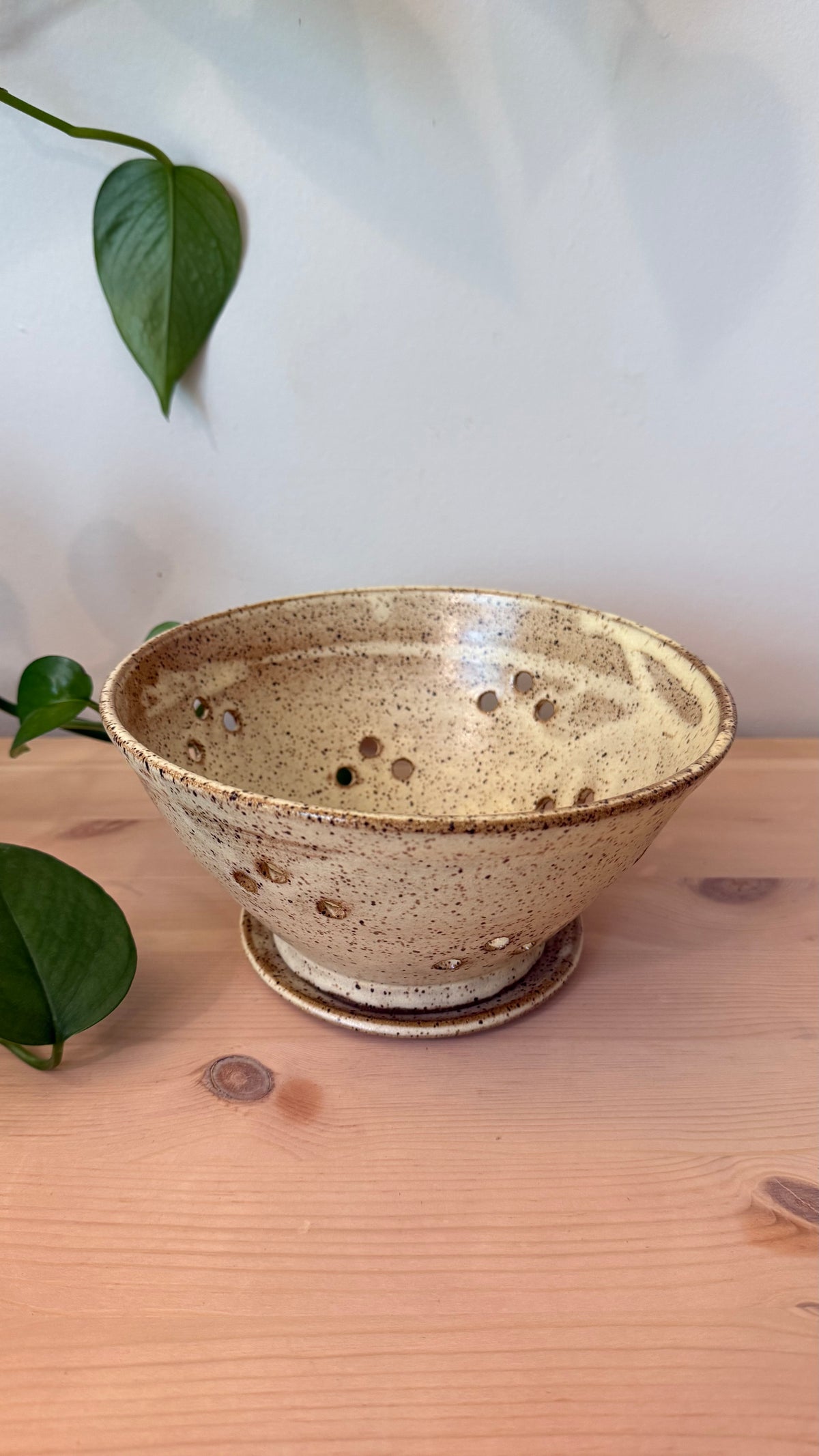 Collander (speckled yellow)