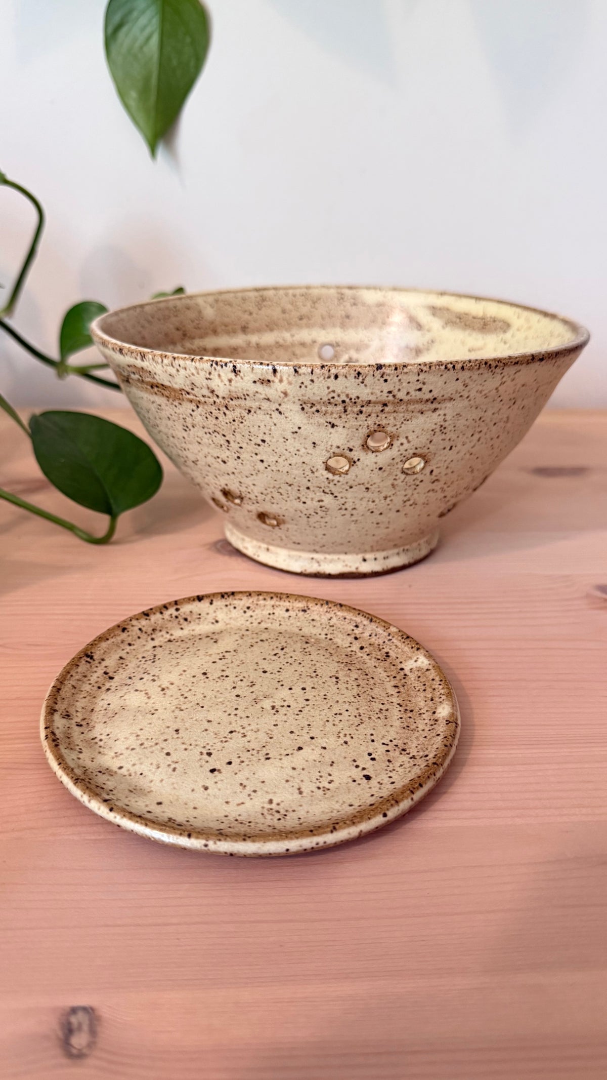 Collander (speckled yellow)