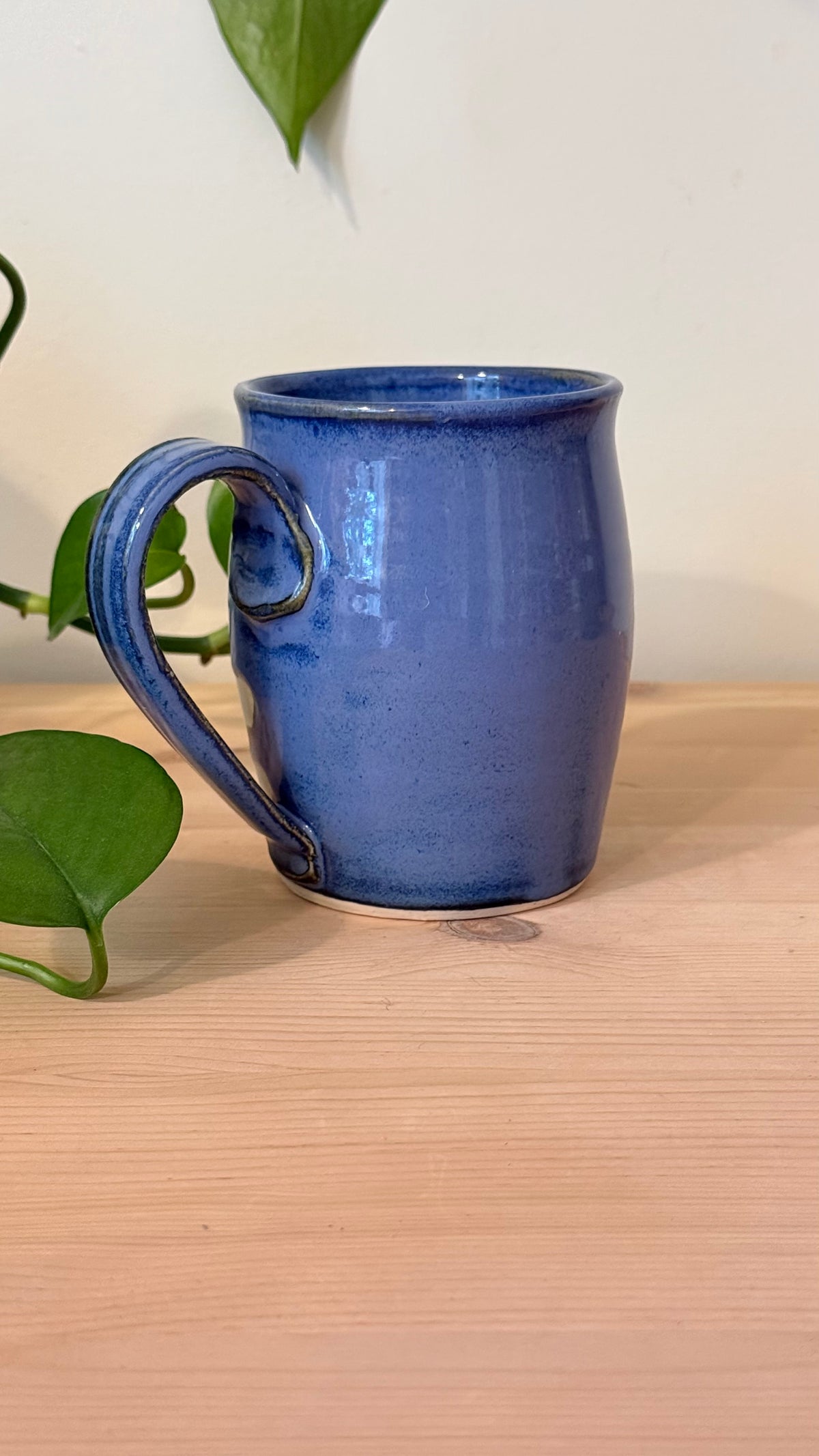 Wildflower Garden Mug (deep blue)
